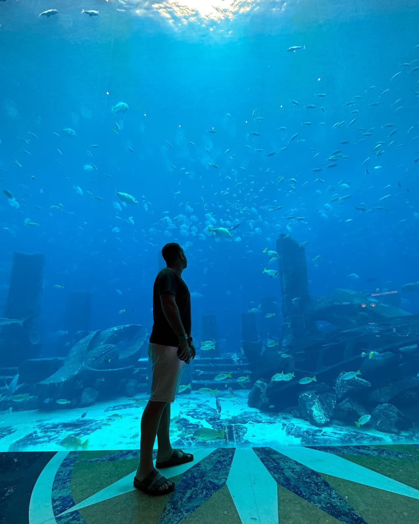 Билеты в парк SeaWorld